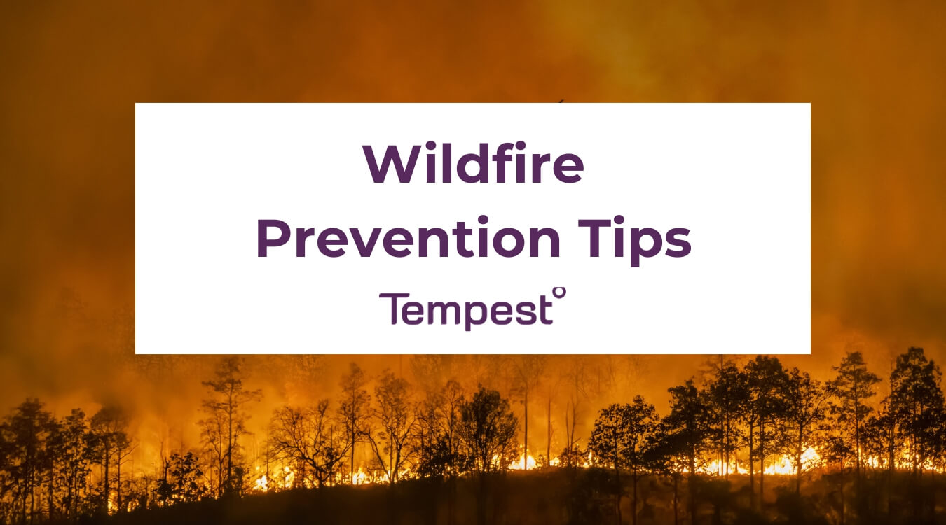 tips on preventing wildfires blog cover image