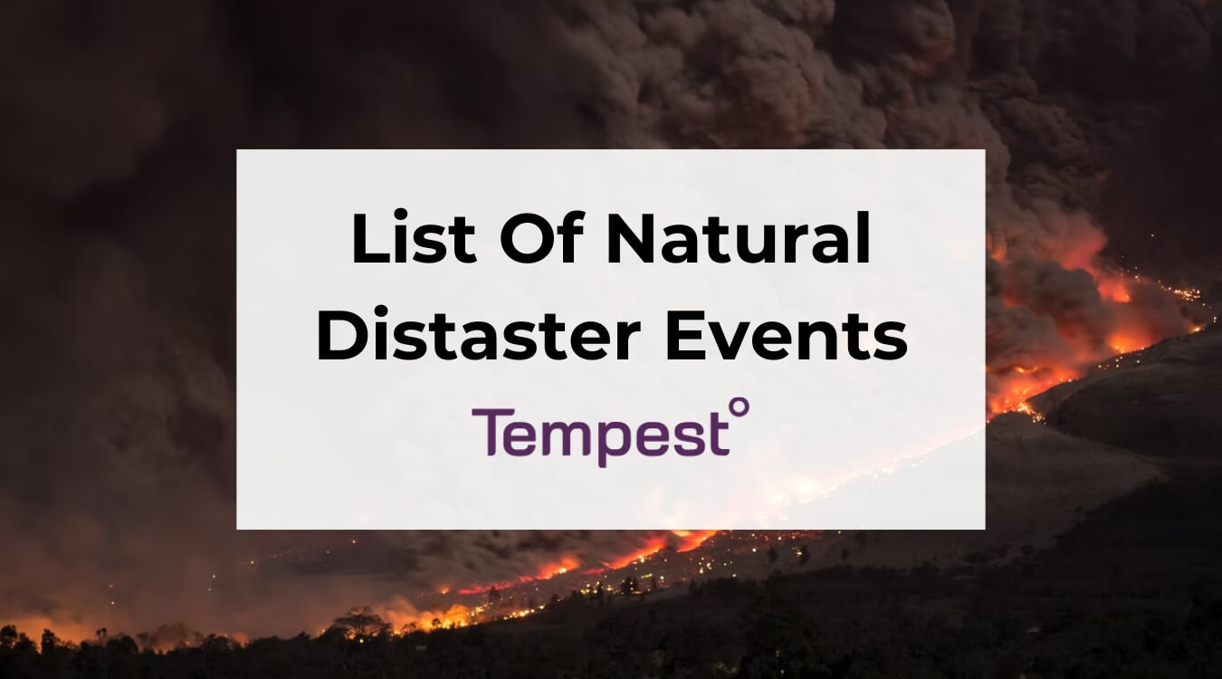 a wildfire natural disaster event happening in the United States