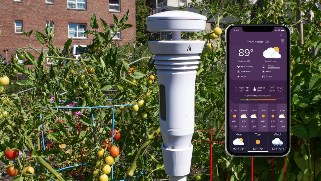 the tempest weather system in a garden sending weather readings to a phone